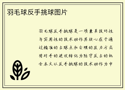 羽毛球反手挑球图片