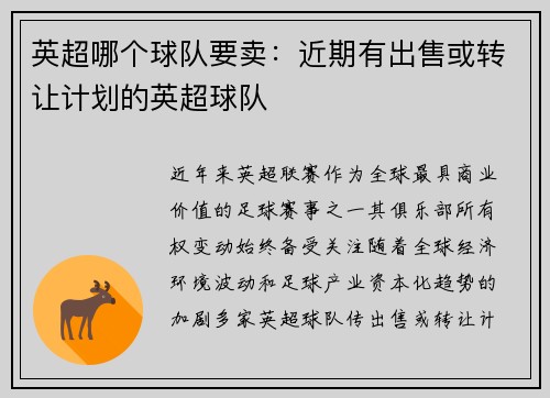 英超哪个球队要卖：近期有出售或转让计划的英超球队