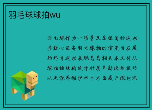 羽毛球球拍wu